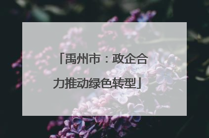 禹州市：政企合力推动绿色转型