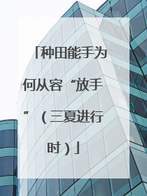 种田能手为何从容“放手”（三夏进行时）