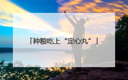 种粮吃上“定心丸”