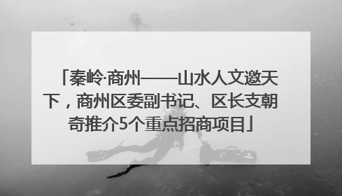 秦岭·商州——山水人文邀天下，商州区委副书记、区长支朝奇推介5个重点招商项目