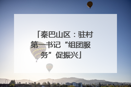 秦巴山区：驻村第一书记“组团服务”促振兴