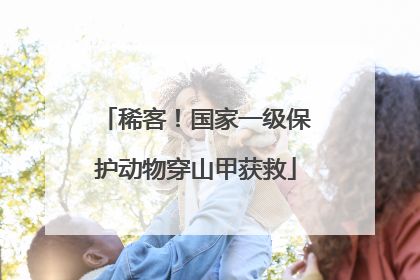 稀客！国家一级保护动物穿山甲获救