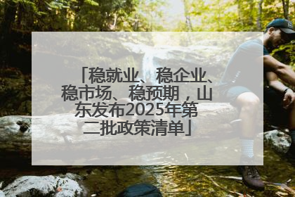 稳就业、稳企业、稳市场、稳预期，山东发布2025年第二批政策清单