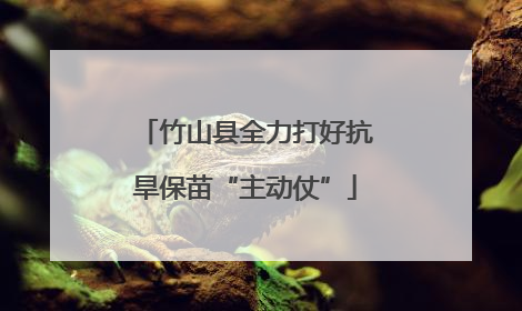 竹山县全力打好抗旱保苗“主动仗”