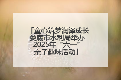 童心筑梦润泽成长 娄底市水利局举办2025年“六一”亲子趣味活动