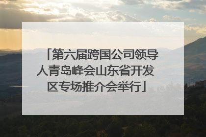 第六届跨国公司领导人青岛峰会山东省开发区专场推介会举行