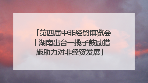 第四届中非经贸博览会丨湖南出台一揽子鼓励措施助力对非经贸发展