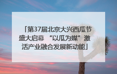第37届北京大兴西瓜节盛大启幕 “以瓜为媒”激活产业融合发展新动能