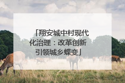 翔安城中村现代化治理：改革创新引领城乡蝶变