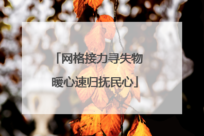 网格接力寻失物 暖心速归抚民心