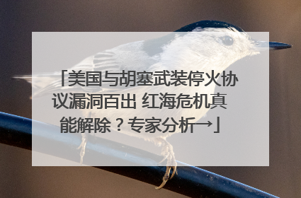 美国与胡塞武装停火协议漏洞百出 红海危机真能解除？专家分析→