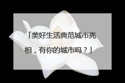 美好生活典范城市亮相，有你的城市吗？
