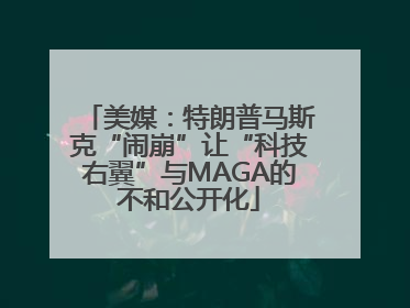 美媒：特朗普马斯克“闹崩”让“科技右翼”与MAGA的不和公开化