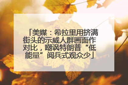 美媒：希拉里用挤满街头的示威人群画面作对比，嘲讽特朗普“低能量”阅兵式观众少