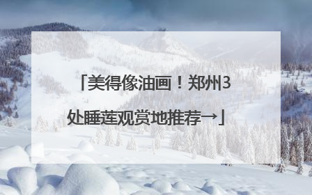 美得像油画！郑州3处睡莲观赏地推荐→