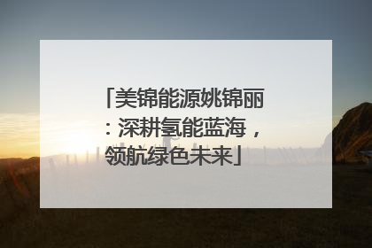 美锦能源姚锦丽：深耕氢能蓝海，领航绿色未来