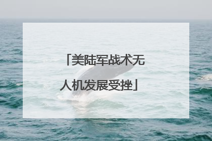 美陆军战术无人机发展受挫