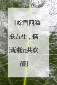 粽香四溢联五社，情满浦沅共欢颜