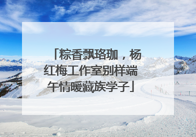 粽香飘珞珈，杨红梅工作室别样端午情暖藏族学子