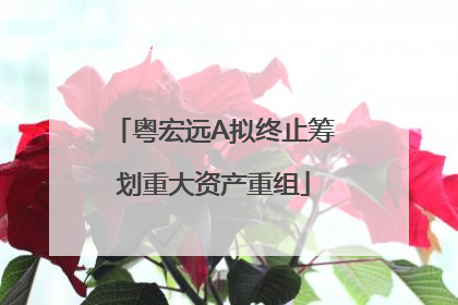 粤宏远A拟终止筹划重大资产重组
