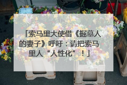 索马里大使借《掘墓人的妻子》呼吁：请把索马里人“人性化”！