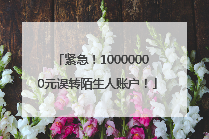 紧急！10000000元误转陌生人账户！