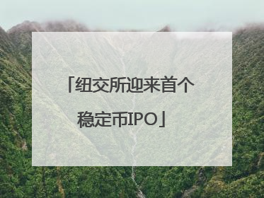 纽交所迎来首个稳定币IPO