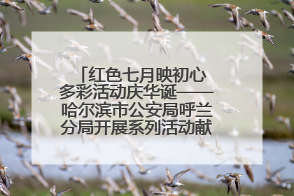 红色七月映初心 多彩活动庆华诞——哈尔滨市公安局呼兰分局开展系列活动献礼党的生日