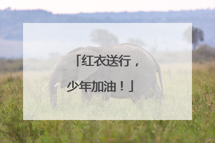红衣送行，少年加油！