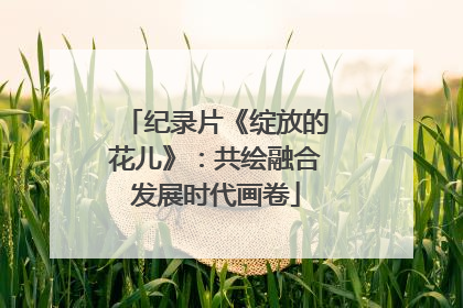 纪录片《绽放的花儿》：共绘融合发展时代画卷