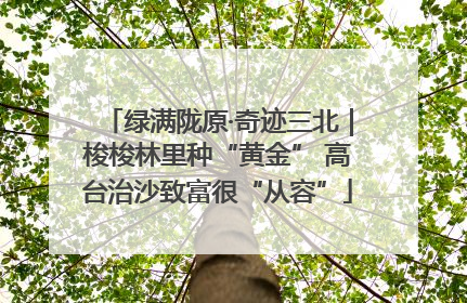 绿满陇原·奇迹三北｜梭梭林里种“黄金” 高台治沙致富很“从容”