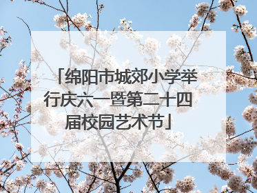 绵阳市城郊小学举行庆六一暨第二十四届校园艺术节