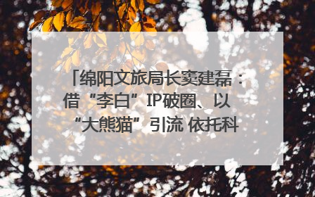 绵阳文旅局长窦建磊：借“李白”IP破圈、以“大熊猫”引流 依托科技优势绽放城市文旅魅力｜文旅局长说