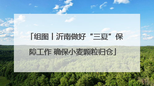 组图丨沂南做好“三夏”保障工作 确保小麦颗粒归仓