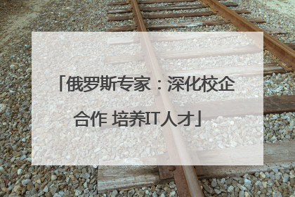 俄罗斯专家：深化校企合作 培养IT人才