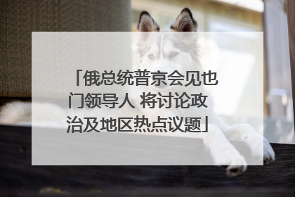 俄总统普京会见也门领导人 将讨论政治及地区热点议题