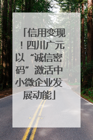 信用变现！四川广元以“诚信密码”激活中小微企业发展动能