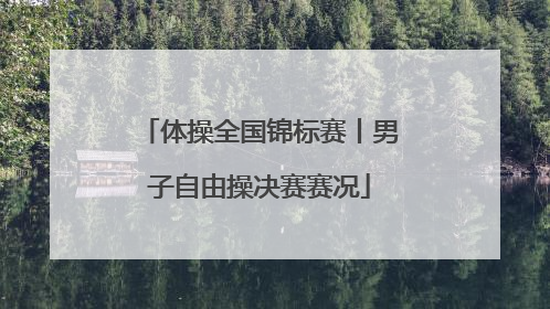 体操全国锦标赛丨男子自由操决赛赛况