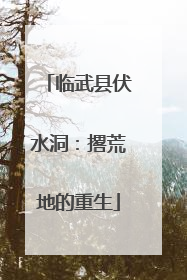 临武县伏水洞：撂荒地的重生