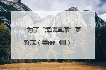 为了“海底草原”更繁茂（美丽中国）