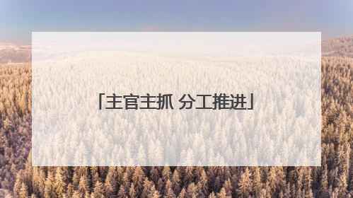 主官主抓 分工推进