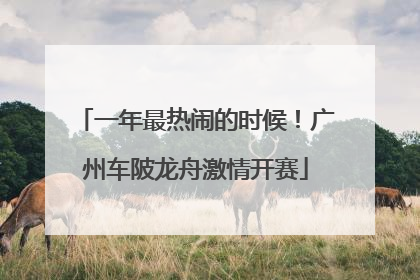 一年最热闹的时候！广州车陂龙舟激情开赛