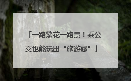 一路繁花一路景！乘公交也能玩出“旅游感”