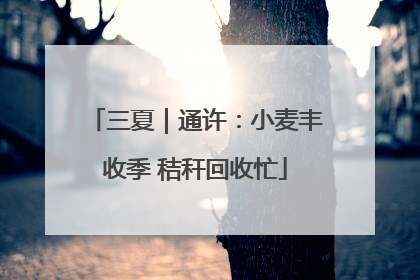三夏｜通许：小麦丰收季 秸秆回收忙