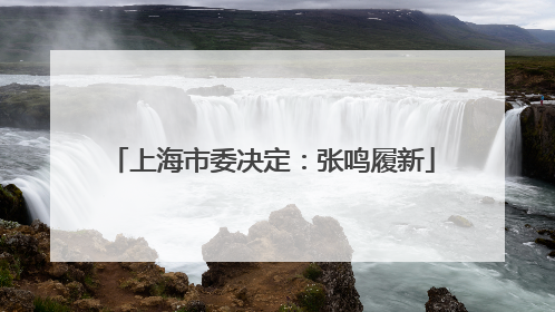 上海市委决定：张鸣履新