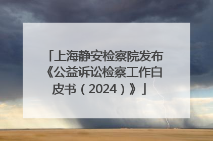 上海静安检察院发布《公益诉讼检察工作白皮书（2024）》
