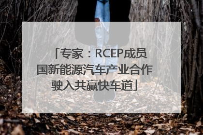 专家：RCEP成员国新能源汽车产业合作驶入共赢快车道