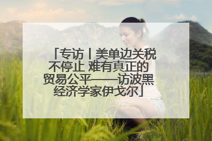 专访丨美单边关税不停止 难有真正的贸易公平——访波黑经济学家伊戈尔