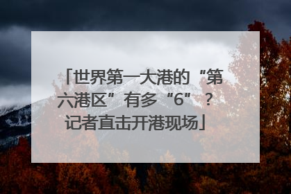 世界第一大港的“第六港区”有多“6”？记者直击开港现场