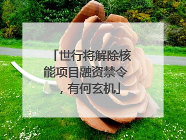 世行将解除核能项目融资禁令，有何玄机